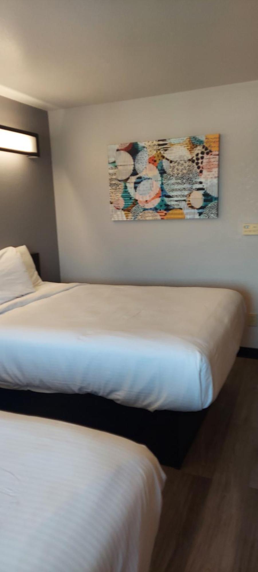 Microtel Inn & Suites By Wyndham Hoover/Birmingham Eksteriør billede